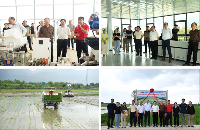 台山“万亩示范基地”揭牌及观摩会现场