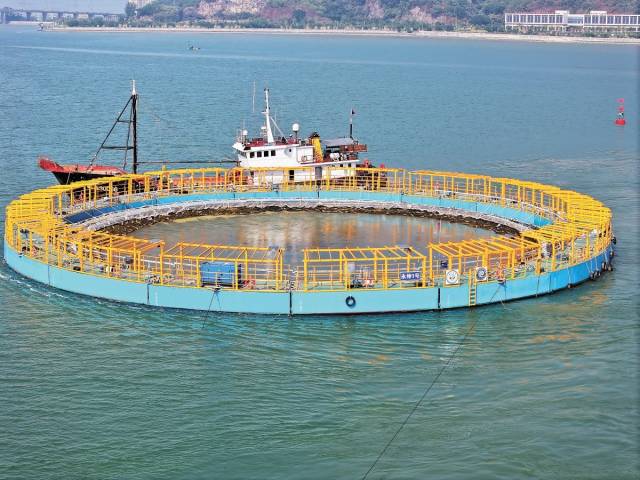 南方农村报 王富迪 拍摄