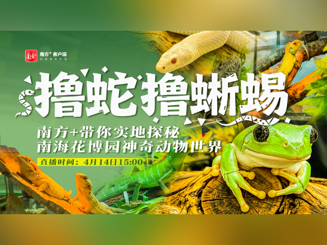 撸蛇撸蜥蜴是什么样的体验？一起来南海花博园探秘