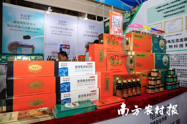 南方农村报 王富迪 拍摄