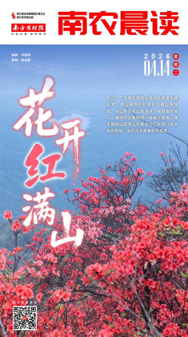 南方农村报 李嘉镓 制图