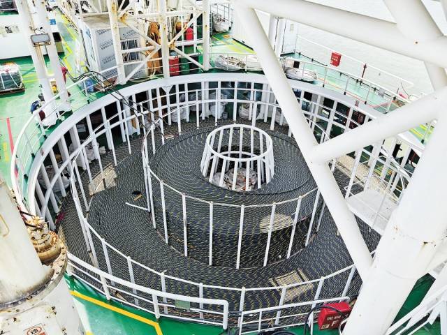 南方农村报 王富迪 拍摄