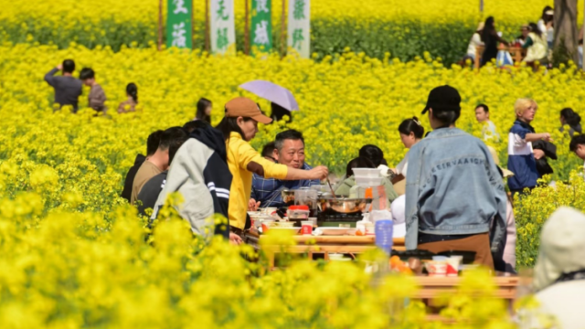 卷天卷地卷进油菜地，海底捞在花田支起火锅