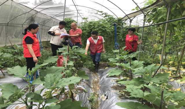 农技服务“轻骑兵”下乡开展农技推广服务