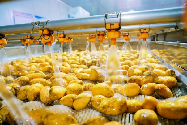 在加工线上“次果”