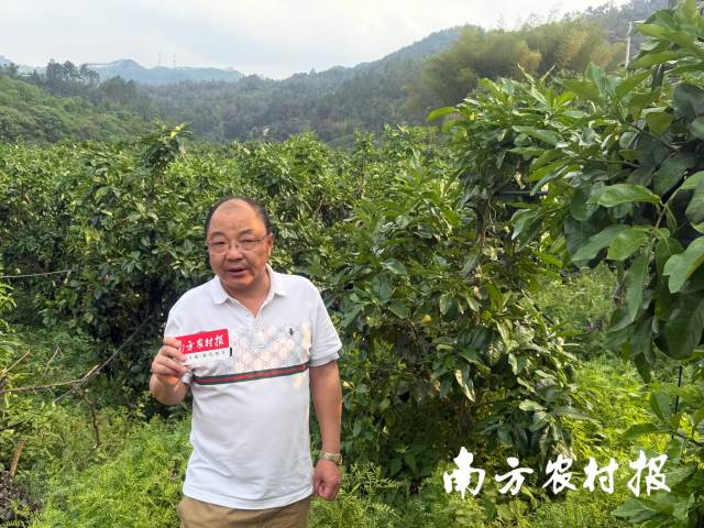 国家绿肥产业技术体系岗位科学家、福建省农业科学院农业资源与环境研究所研究员应朝阳