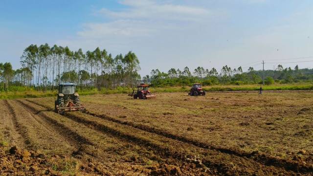▲ 在莲塘镇温贯村，各种农机在荒地里连片作业。