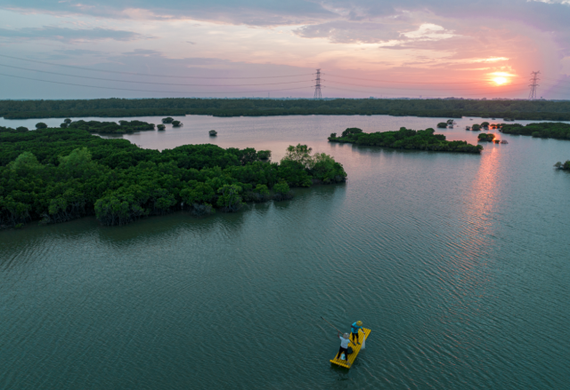 麻章迷人风景。