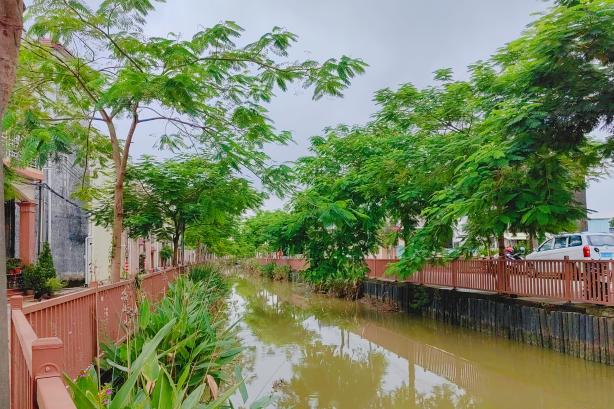 横石岛水清岸绿。