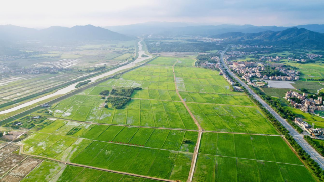 从化鳌头镇万亩良田示范项目