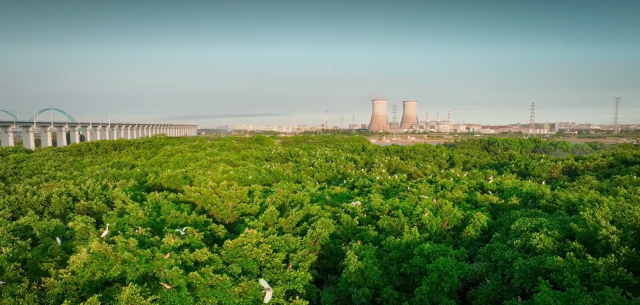 横石岛生态环境优美，旅游资源得天独厚。