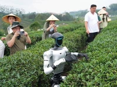 “春有茶”打头阵！博罗四季品牌推广计划上线 | 广货行天下