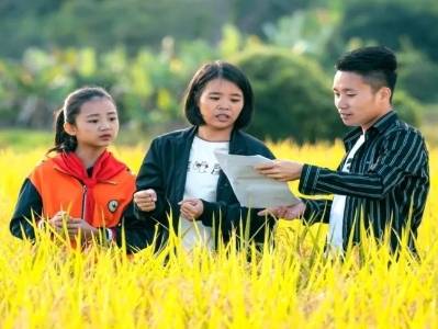 +言阳江｜乡土间的“青年红利”，如何成为乡村振兴的持久动力？