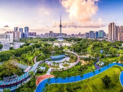 来论｜苏岩：奋力打造粤港澳大湾区人才集聚高地