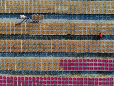 有华人的地方，就有小冈香｜广货行天下·爆款江门造