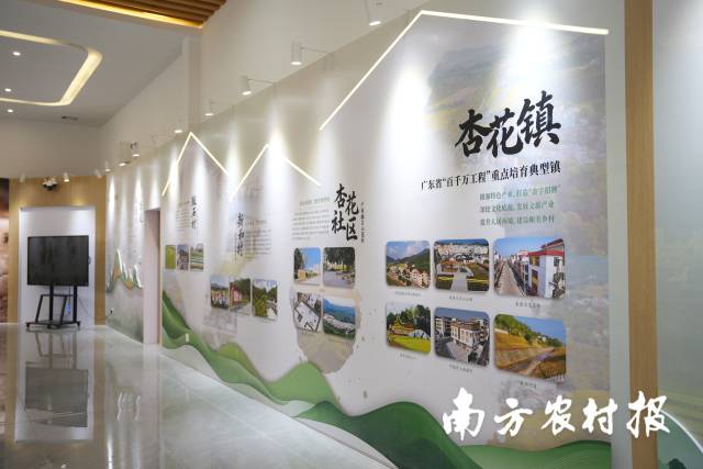 南方农村报 王富迪 拍摄