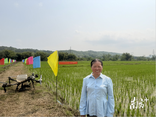 水稻种植专业户彭长优