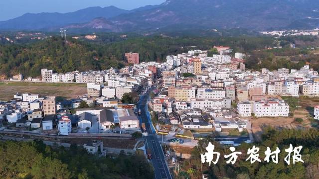 南方农村报 王富迪 拍摄