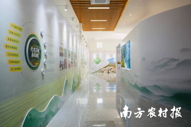 南方农村报 王富迪 拍摄