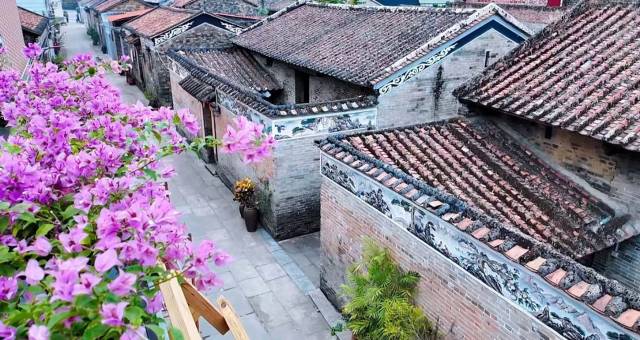 四会市城中街道白沙村。