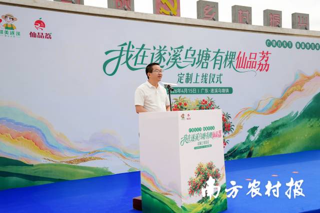 乌塘镇党委书记洪文泽发布定制方案。