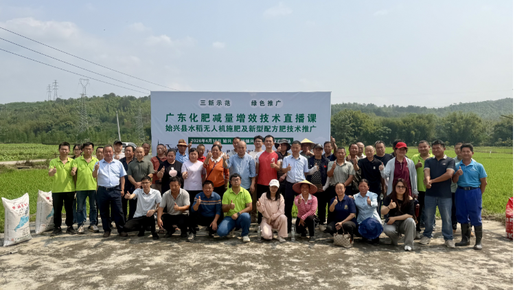 化肥减量技术让水稻产量品质双提升，守护粤北粮仓