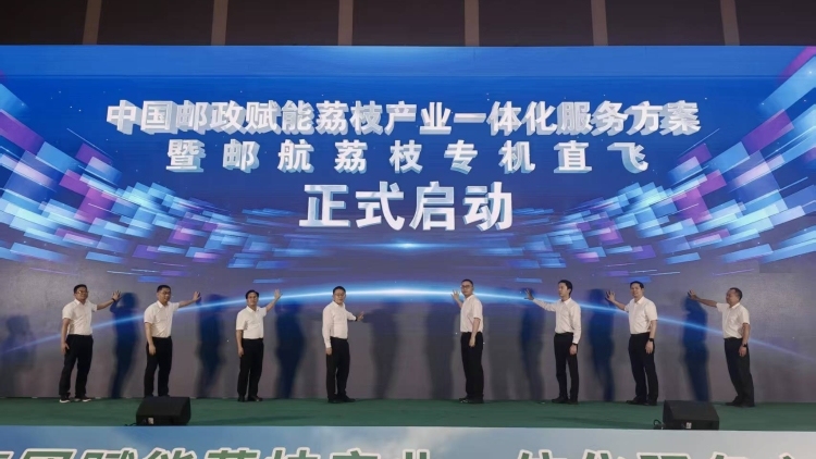 60条航线+30亿专项授信 中国邮政助力高州荔枝“鲜”遍全国