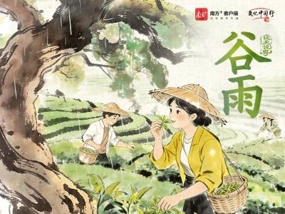 歌谣里的节气 | 今日谷雨，品茶尝鲜正当时