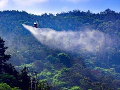 广东主要有害生物发生面积五年减少超200万亩，防控指标向好