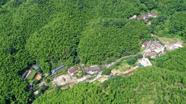 惠州龙门县为何在这场全国培训班上分享经验？