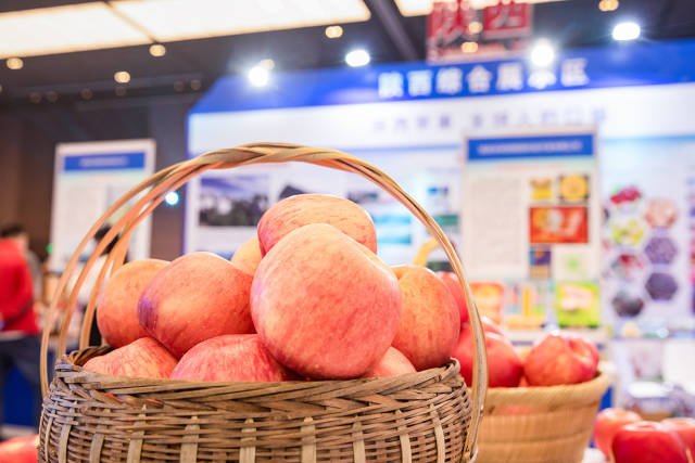 陕粤特色农产品（广州）宣传推介活动上的陕西苹果。