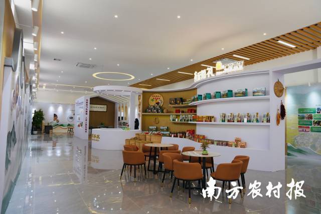 南方农村报 王富迪 拍摄