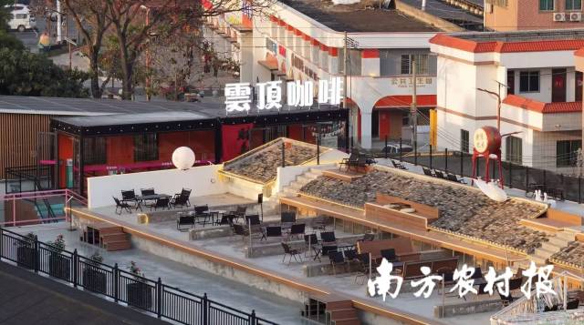 南方农村报 王富迪 拍摄