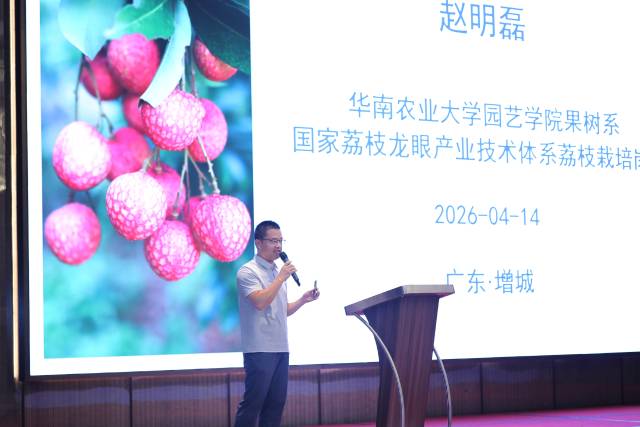 华南农业大学园艺学院果树系副研究员 赵明磊