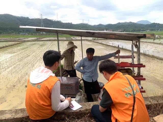 南方农村报 徐建杭 拍摄