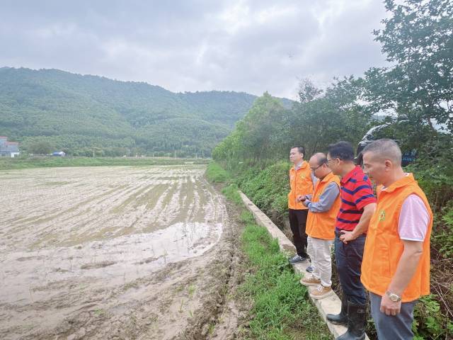 农业科技特派员在沙浦开展指导