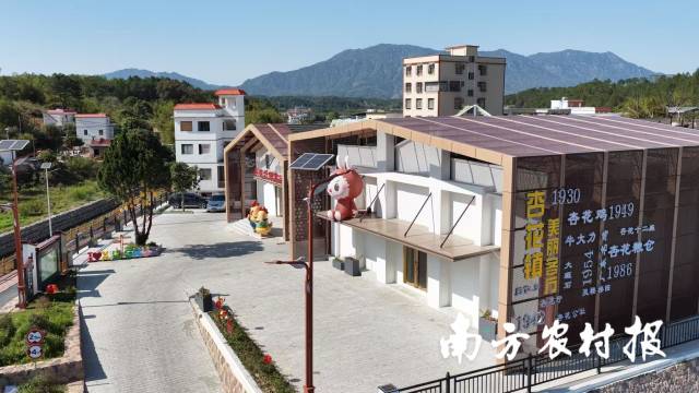 南方农村报 王富迪 拍摄