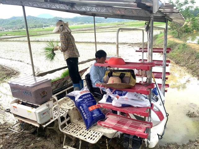 南方农村报 徐建杭 拍摄