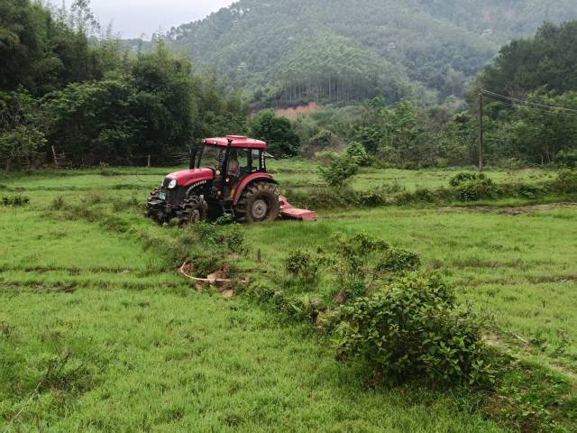 南方农村报 王富迪 拍摄