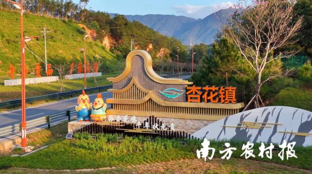 南方农村报 王富迪 拍摄