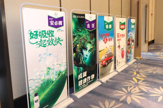 南方农村报 徐建杭 拍摄