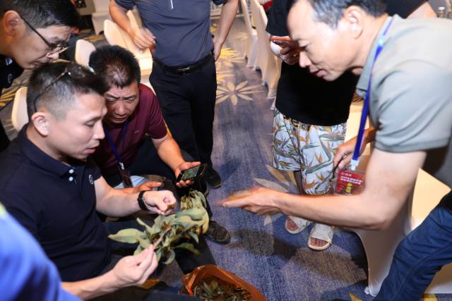 南方农村报 徐建杭 拍摄