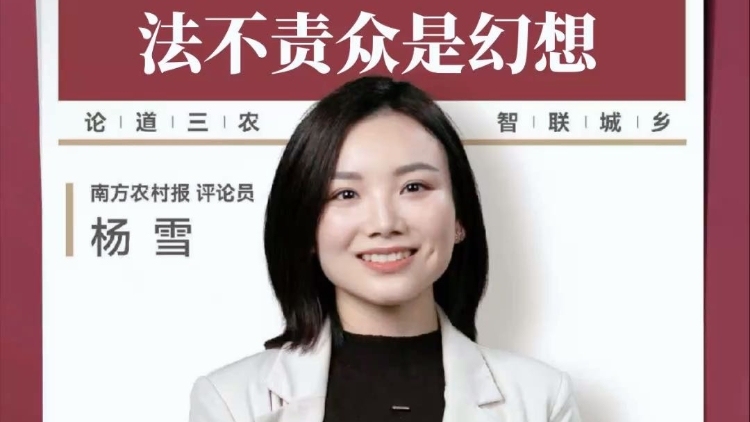 兴农评 | 泼水节变“泼水劫”，法不责众是幻想