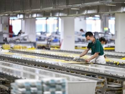 强镇崛起路｜一文速览《南方日报·清远观察》第2179期