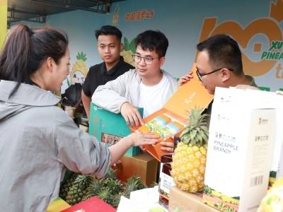 百年菠萝、AI荔枝、逆袭南瓜：湛江农产品“行天下”的三种姿态