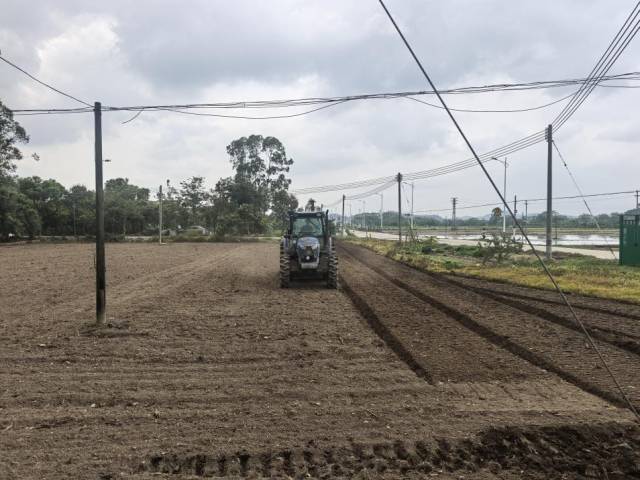 与会人员实地观摩节水抗旱稻种植现场。