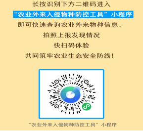 入侵物种上报小程序