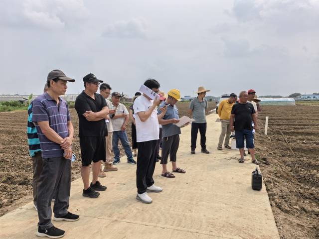 农户围着田间咨询甘蔗种苗种植事宜。