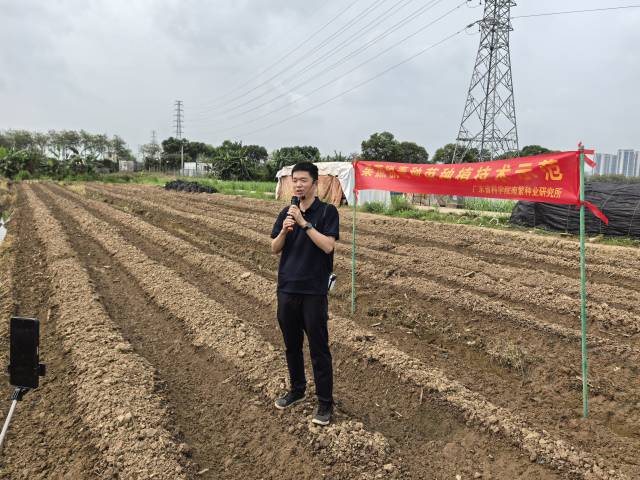 陈迪文在田头宣讲。