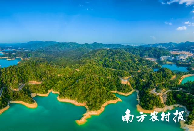 河源市新丰江九里湖绿美点